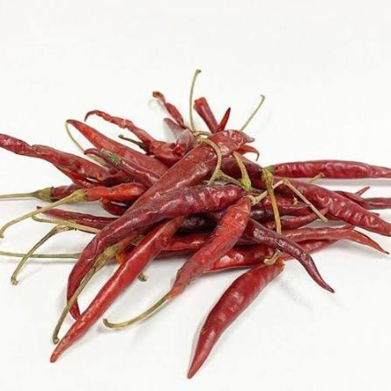 CHILE DE ÁRBOL 